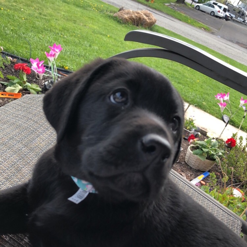 Meet your Posher, Kristina